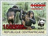 Central Chimpanzee (Pan troglodytes troglodytes)