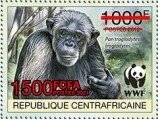 Central Chimpanzee (Pan troglodytes troglodytes)