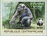 Central Chimpanzee (Pan troglodytes troglodytes)