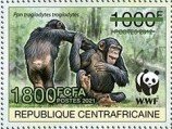 Central Chimpanzee (Pan troglodytes troglodytes)