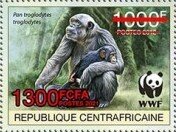 Central Chimpanzee (Pan troglodytes troglodytes)