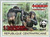 Central Chimpanzee (Pan troglodytes troglodytes)