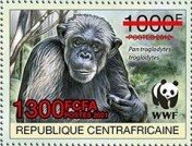 Central Chimpanzee (Pan troglodytes troglodytes)