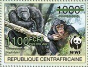 Central Chimpanzee (Pan troglodytes troglodytes)