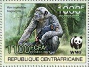 Central Chimpanzee (Pan troglodytes troglodytes)