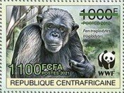 Central Chimpanzee (Pan troglodytes troglodytes)