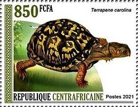Stamp, Common box turtle (Terrapene carolina), Central African Republic,  , Animals (Fauna), Reptiles, Turtles
