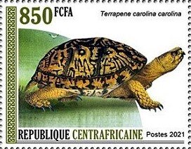 Stamp, Eastern box turtle (Terrapene carolina carolina), Central African Republic,  , Animals (Fauna), Reptiles, Turtles