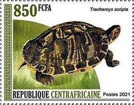 Stamp, Pond slider (Trachemys scripta), Central African Republic,  , Animals (Fauna), Reptiles, Turtles