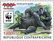 Western Lowland Gorilla (Gorilla gorilla gorilla)