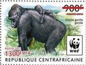 Western Lowland Gorilla (Gorilla gorilla gorilla)