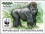 Western Lowland Gorilla (Gorilla gorilla gorilla)