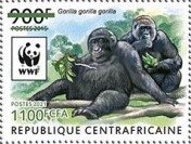 Western Lowland Gorilla (Gorilla gorilla gorilla)