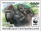 Western Lowland Gorilla (Gorilla gorilla gorilla)