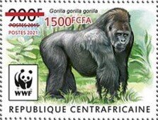 Western Lowland Gorilla (Gorilla gorilla gorilla)