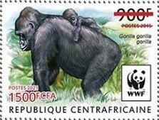 Western Lowland Gorilla (Gorilla gorilla gorilla)