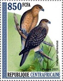 Stamp, Whistling kite (Haliastur sphenurus), Central African Republic,  , Animals (Fauna), Birds, Birds of Prey