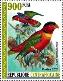 Yellow-bibbed Lory (Lorius chlorocercus)
