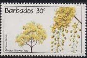 Flowering trees