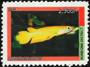 Stamp, Aplocheilus lineatus, Cinderellas,  , Animals (Fauna), Fishes, Sea Life