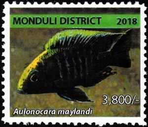 Stamp, Aulonocara maylandi, Cinderellas,  , Animals (Fauna), Fishes, Sea Life