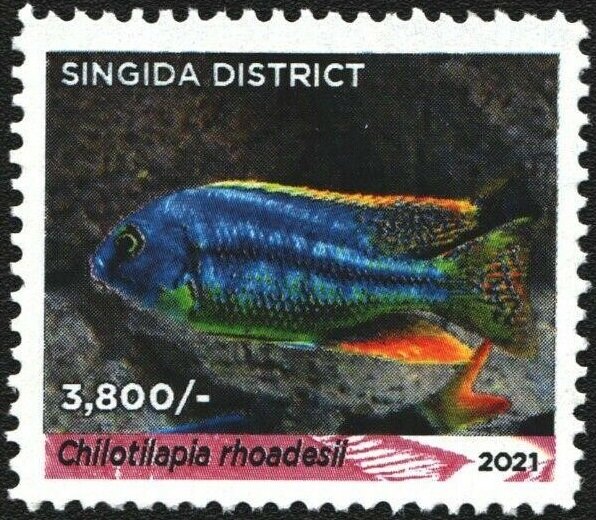 Chilotilapia rhoadesii