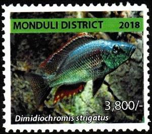 Stamp, Dimidiochromis strigatus, Cinderellas,  , Animals (Fauna), Fishes, Sea Life