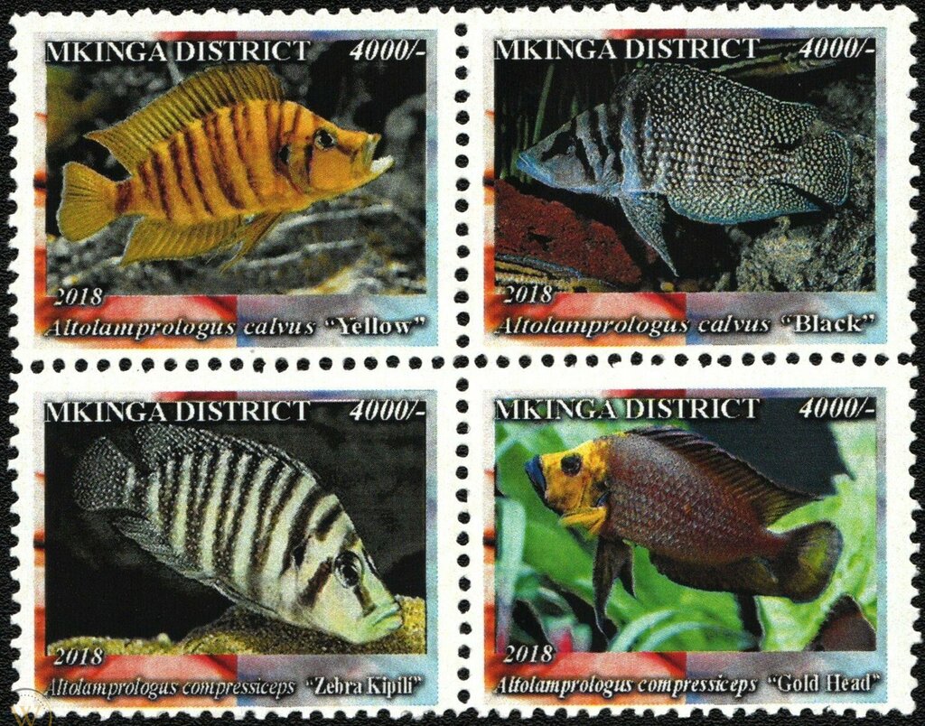 Endemic freshwater fish