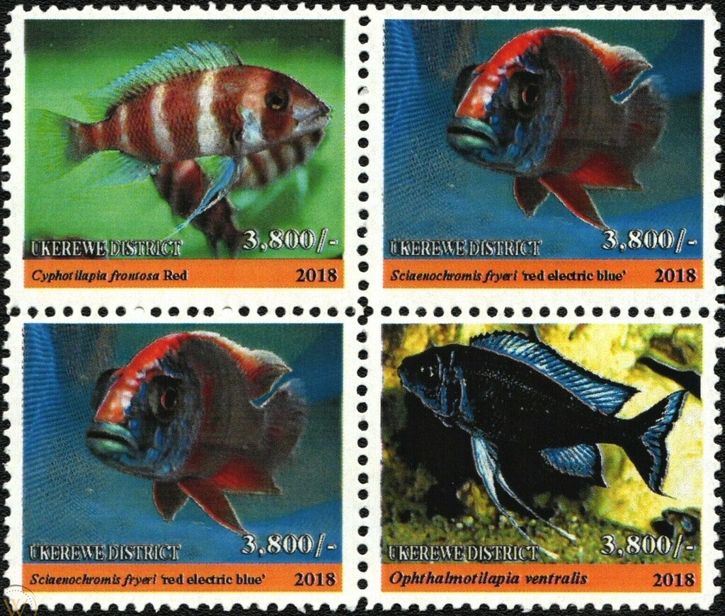 Endemic freshwater fish
