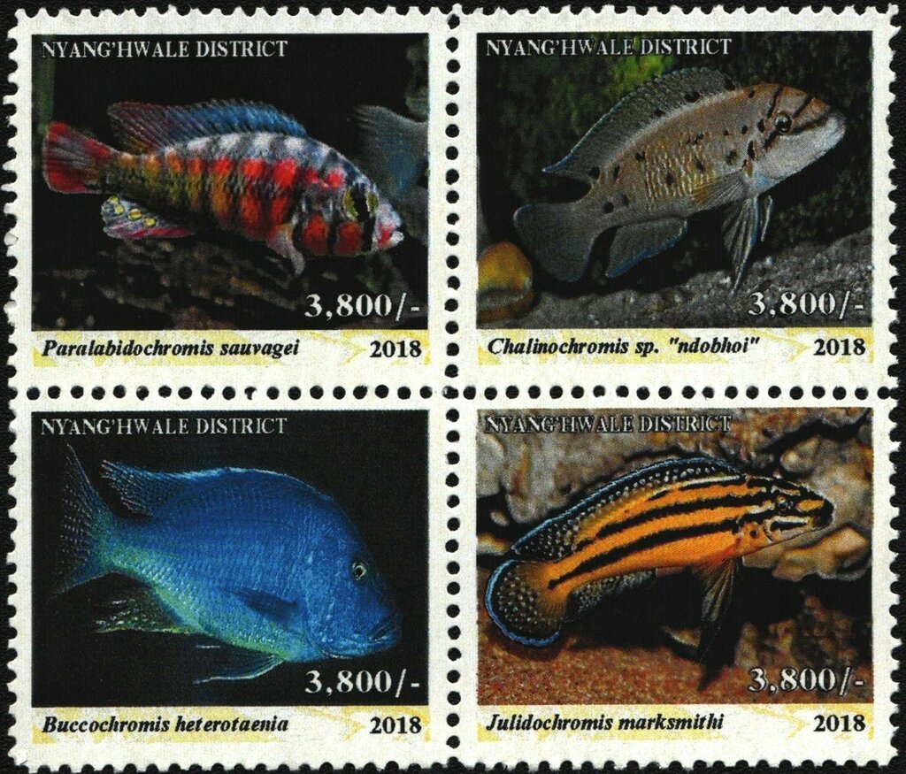 Endemic freshwater fish