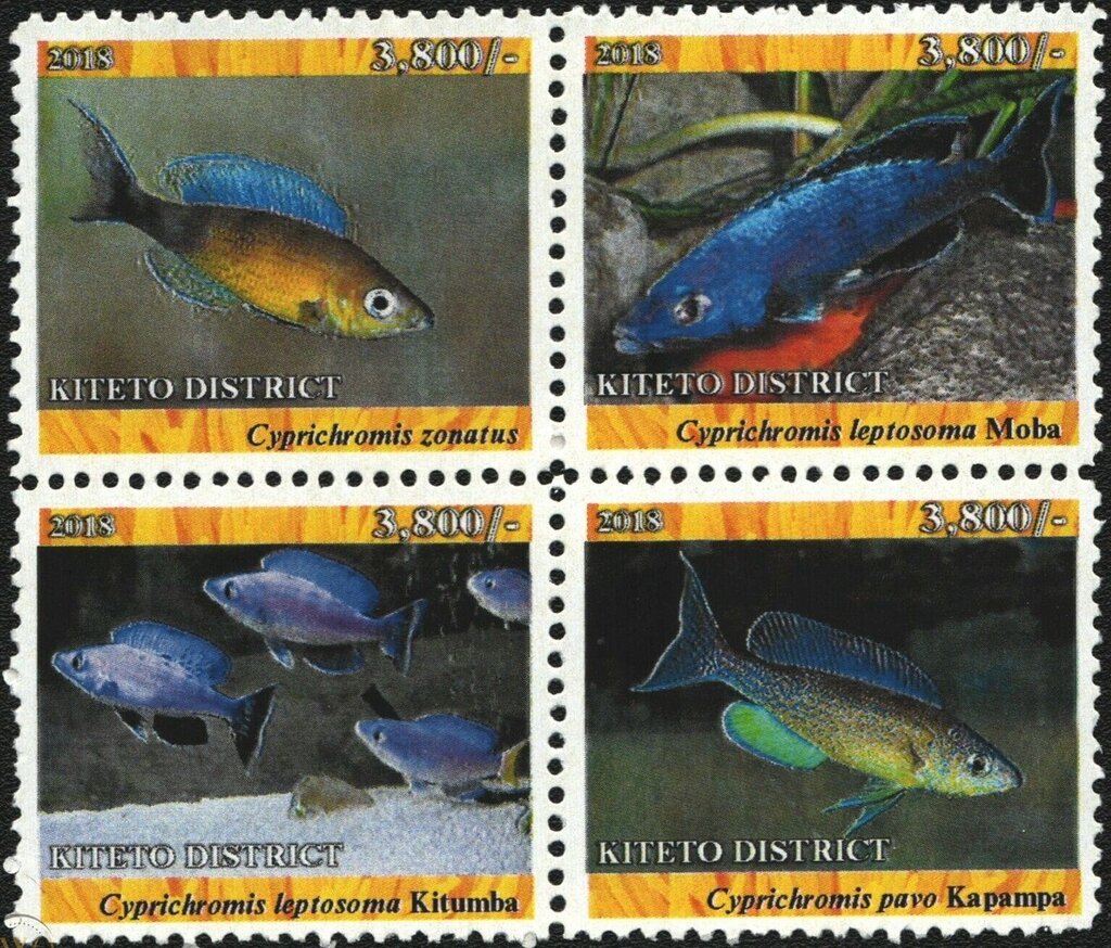Endemic freshwater fish