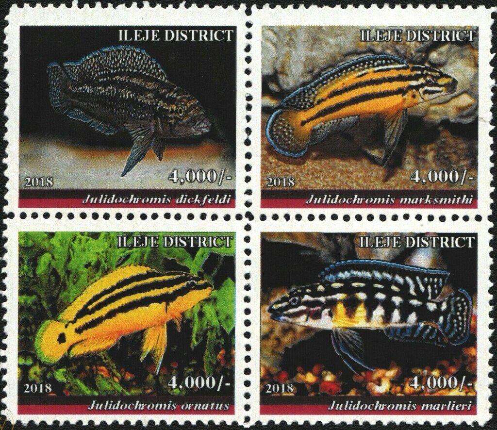 Freshwater endemic fish
