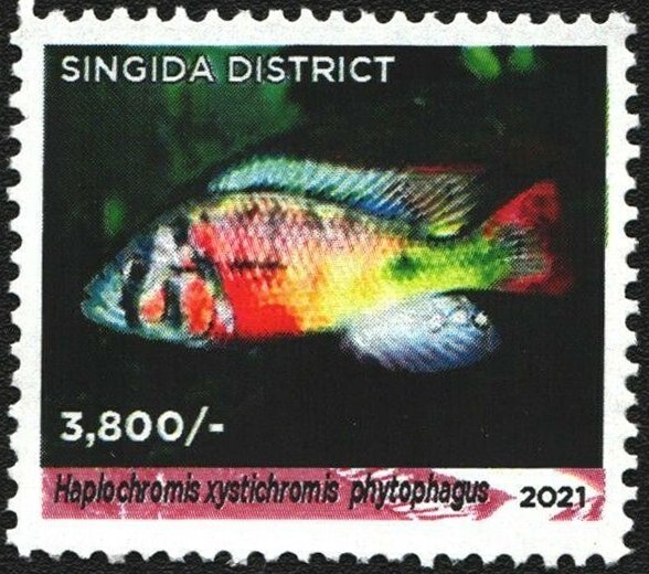 Haplochromis xystichromis phytophagus