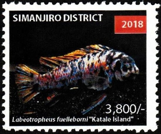 Labeotropheus fuelleborni