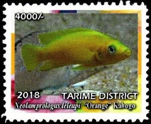 Stamp, Neolamprologus leleupi, Cinderellas,  , Animals (Fauna), Fishes, Sea Life