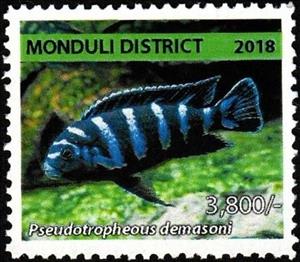 Stamp, Pseudotropheous demasoni, Cinderellas,  , Animals (Fauna), Fishes, Sea Life