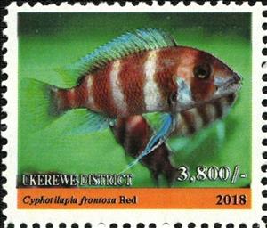 Stamp, Red (Cyphotilapia frontosa), Cinderellas,  , Animals (Fauna), Fishes, Sea Life
