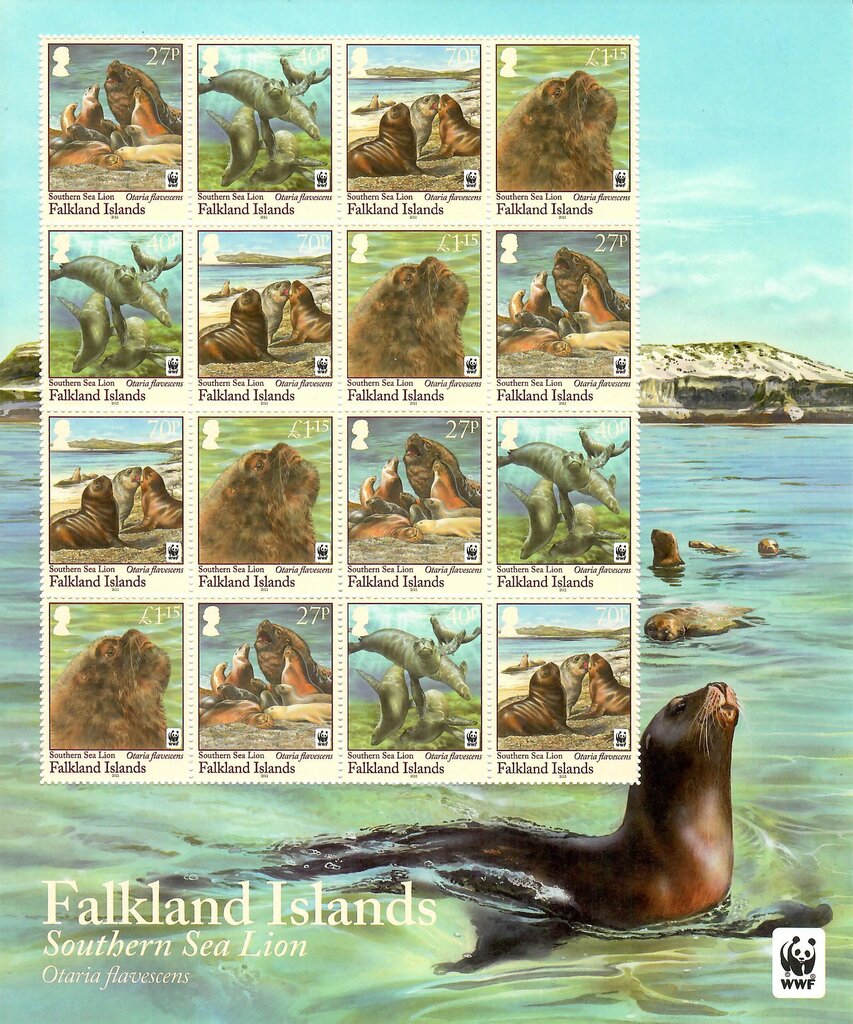 Southern Sea Lion