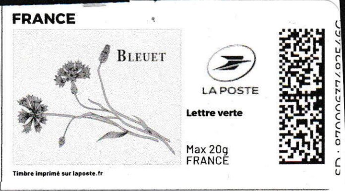 Cornflower. Bleuet in black . Redesign.