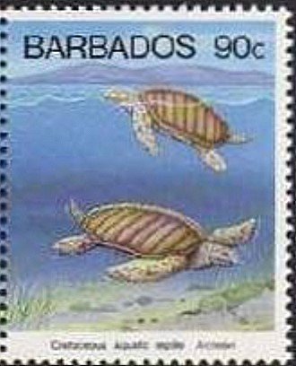 Archelon