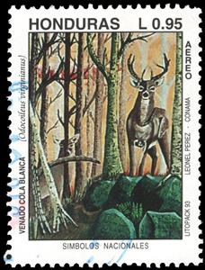 Stamp, Odocoileus virginianus, Honduras,  , Animals (Fauna), Deer