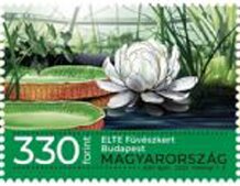 Stamp, Eötvös Loránd University Botanic Garden, Budapest, Hungary,  , Flowers, Gardens, Plants (Flora)