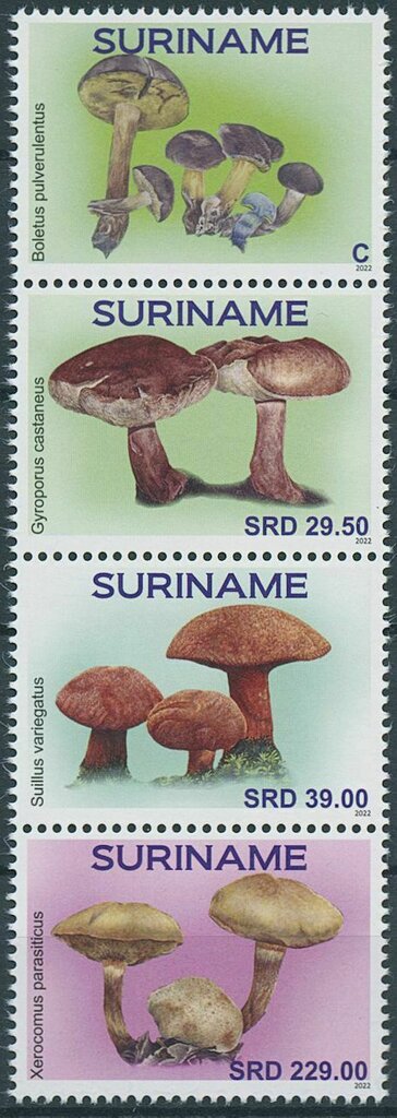 Mushrooms