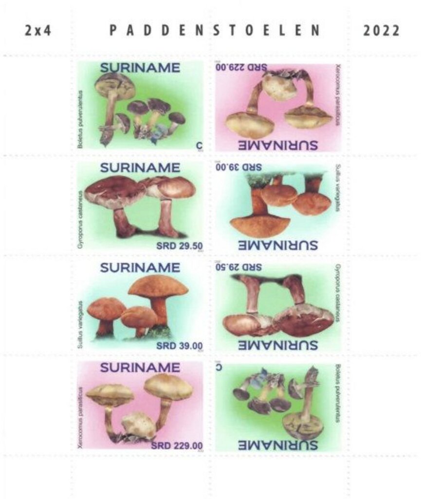 Mushrooms