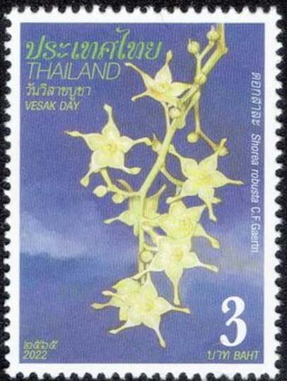 Blossom of Shorea robusta C.F.Gaertn.