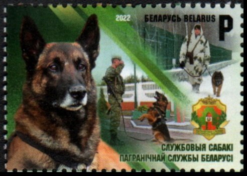 Border Control Dogs