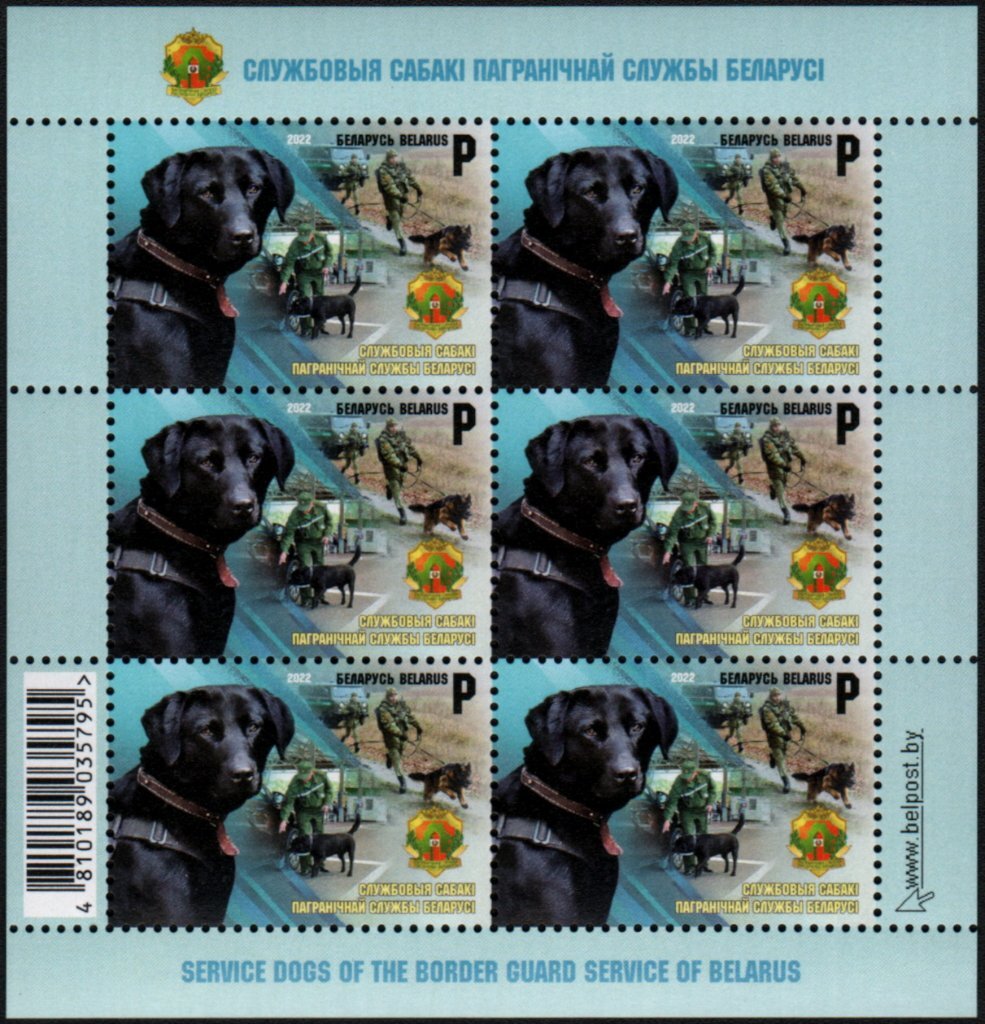 Border Control Dogs