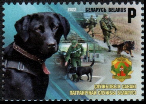 Border Control Dogs