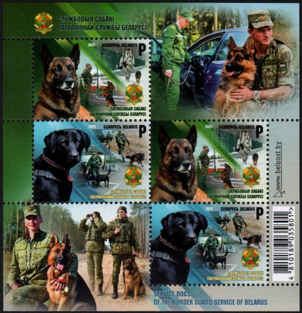 Border Control Dogs
