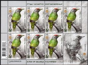 Mini Sheet, Grey-Headed Woodpecker (Picus canus), Belarus,  , Woodpeckers